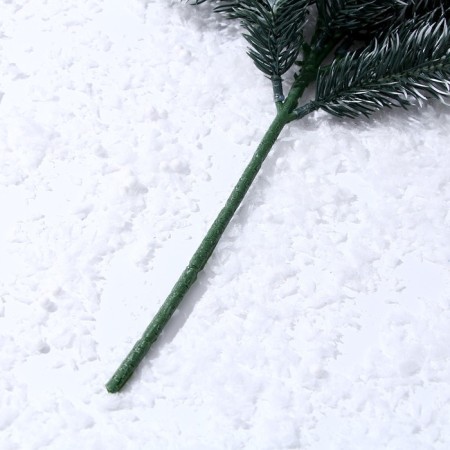 Decor "Branch of silver spruce"-5