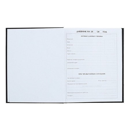 Universal diary for grades 1-11 Anime. Collage, solid cover, holography, 40 sheets-3