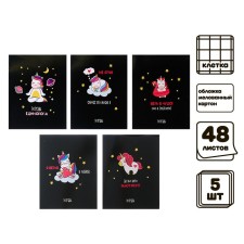 A set of notebooks of 5 pieces, 48 ​​sheets in the Calligrata cage 