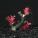 Decor for the Aquarium "Crazy" with orange-pink plants, 15 x 7 x 16.5 cm