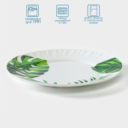 Donested “Papornipot sheet”, D = 25 cm, glass -ceramic, white color-1