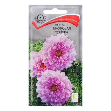 Flowers Cosmea Tensor "Rose Bonbon", 0.1 g