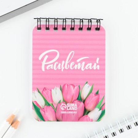 Set of notebook and pen "Shine brighter!"-2