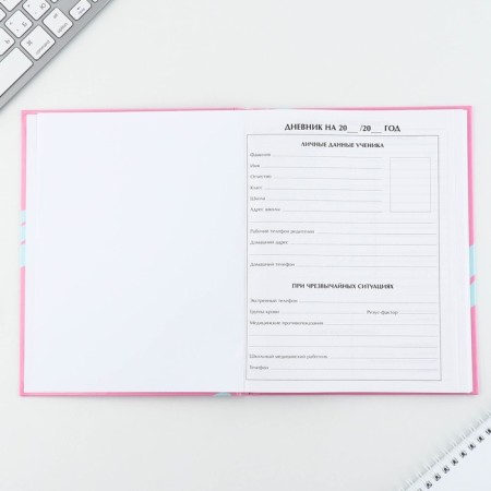 School Diary 1-11 Grade Universal “September 1: Dalmatian”, solid cover 7BC, glossy lamination, 40 sheets-2