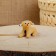 Souvenir "Dog", 3.5 × 4 × 5.5 cm, Kargopol toy, mix