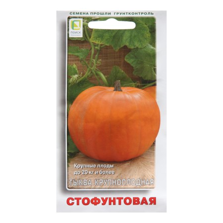 Large -fruited pumpkin seeds "Stopound", 10 pcs