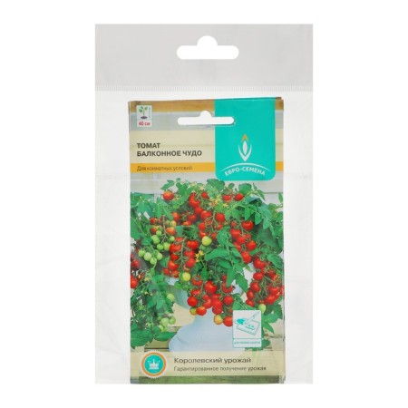 Seeds Tomat "Balcony Miracle" ultra -rapid, stunted, set of 5 pcs-2
