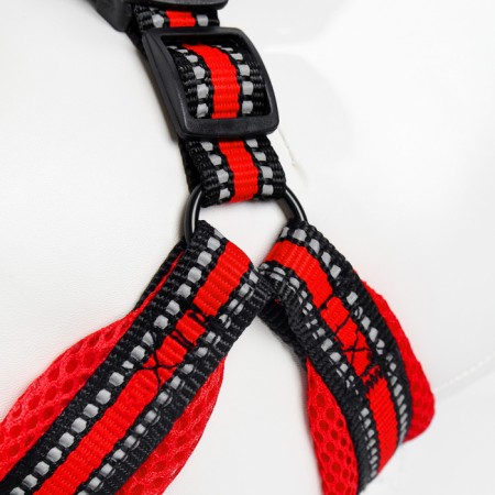 The ammunition set is soft, reflective, leash 120 x 2 cm, Osh 25-72 cm, red-4