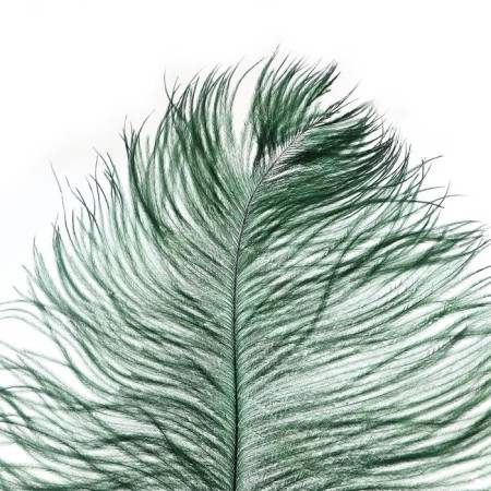 Feather for decor, length from 45 to 60 cm, dark green color-1