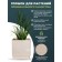 Kashpo for flowers and plants, sand 40x40x40cm, 57l