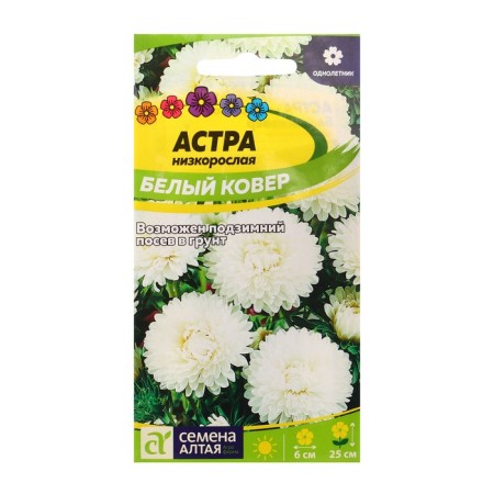 Flowers of the Astra "White Carpet", stunted, seed. ALT, c/p, 0.2 g