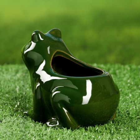 Pot "Frog" 12x10x9cm-2