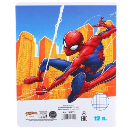 Notebook in a cage 12 sheets, 5 types of mix, cover coated cardboard, spider-man-5