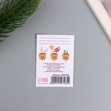 Postcard with seeds "grow itself" "champagne" 5*7cm-2