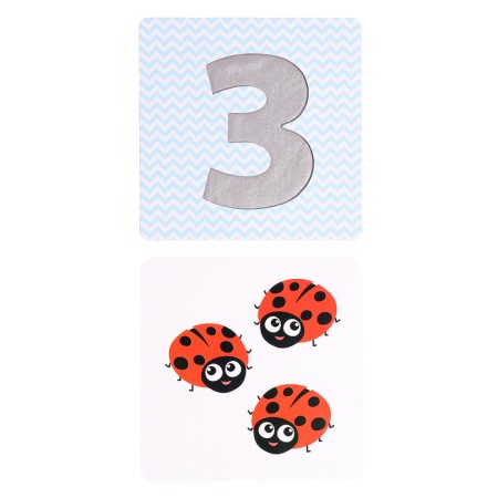 Developing set "Tactile numbers", 3+-1