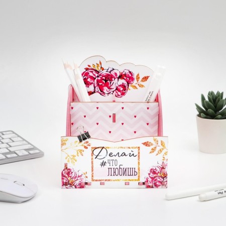 Organizer for the Office "Pionois"-2