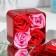 Soap roses, pink and red, set 4 pcs.