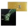 A4, 75 mm, Devente tropicana, laminated cardboard, black/green, collapsible.