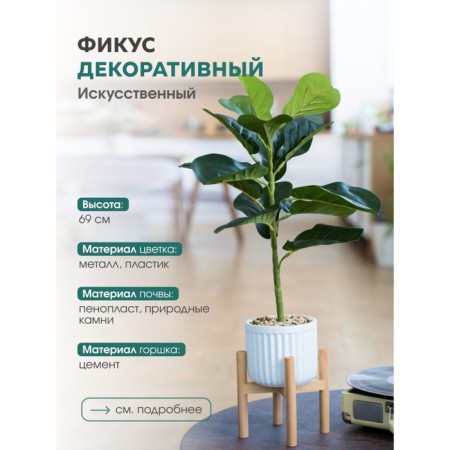 Ficus in a cement pot with a stand of MDF, 140 × 140 × 690 mm, green / white / beige color