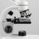 Microscope Laboratory multiplicity 40,100,400, backlight