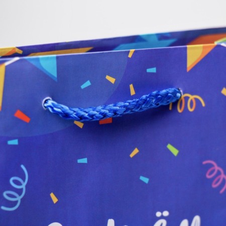 Gift Package Laminated, Packaging, Festive Dinosaurics, MS 18 x 23 x 8 cm-3