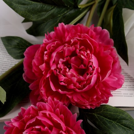 Artificial flowers "Beverly luxury" 60 cm, bright pink-1