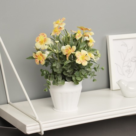 Bonsai in the pot "Primrose Extra Premium" 21x9 cm, mix-4
