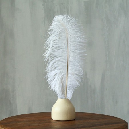Feather for decor, length: from 45 to 50 cm, white color-4