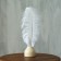 Feather for decor, length: from 45 to 50 cm, white color
