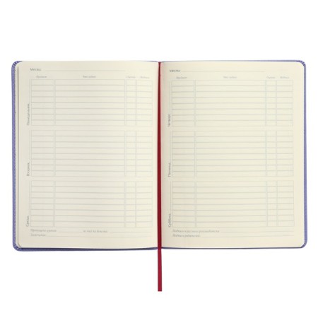 Universal diary for grades 1-11, 48 sheets, My Sweet. Donuts, covering artificial leather, lies, tinted block-7