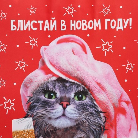 Gift Crafts "Blistai", 28 x 32 x 15 cm, New Year-4