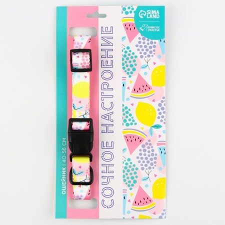 Collar "juicy mood", fastener - fastx, 2.5 cm, 40-55 cm-5