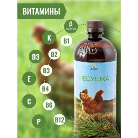 Additive with coniferous concentrate, for feed, 900 ml, "laying down"-3