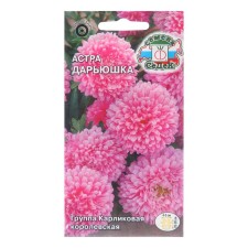 Flowers of Astra 