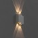 Facade lamp "Ray", FSD-010, 4 W, 3000K, 2 rays, IP65, 220 V, metal, white