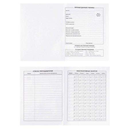 The diary is universal, for grades 1-11, "a dog with glasses", a solid cover, matte lamination, selective UV-lame, an offset block, a universal cheat sheet, 48 sheets-3