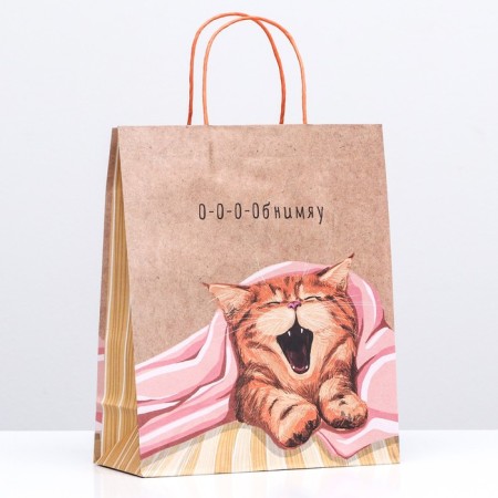 Gift package "Sleepy cat" 26 x 32 x 12 cm