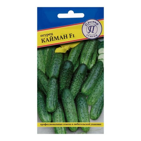 Cucumber seeds "Kaiman" F1, early -ripe, parthenocarpic, 5 pcs