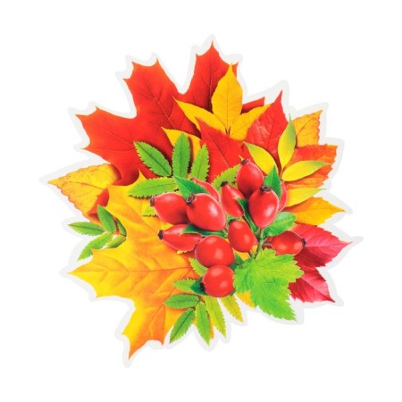 Decoration on the adhesive tape "Autumn Bouquet" Rosehip, 26x26 cm