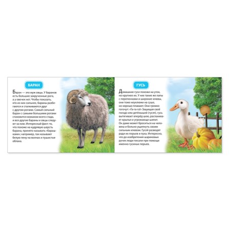 Training book "Pets", 18 animals-1