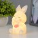 Nightmare "Cute Bunny" LED 2W from 3xlr44 batteries is white-pink 6.5x7x12 cm Risalux
