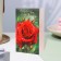 Postcard "On a wonderful day of the anniversary!" Red rose, 12.5 x 19.4 cm