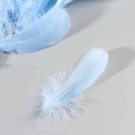A set of feathers of the goose 13-18 cm, 20 pcs, light blue-3