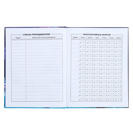Universal Grade 1-11 Diary, 48 sheets "Magic World", hard cover, Soft Touch lamination, foil embossing, offset block-5