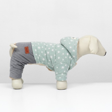 Combines "Walk", size L (DS 32, OG 48, Osh 33 cm, up to 8.5 kg), gray-green-2