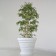 Kashpo for flowers "Viola 1" 75x60 cm, 162 l, color white granite