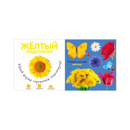 Первая фотокнига малыша. Цвета-2