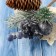 Decor "Winter charm" bump of blueberries needles, 18 cm