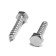 Tundra bolt, capercaillie, plumbing, Din571, M6x30 mm, 4.8 - 5 kg