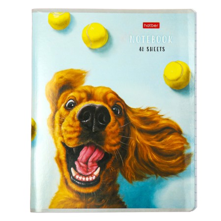 Notebook 48l Lin Learn yourself!, Obla chalk cards, rounded carcass, bl 65g/m2, mix-6